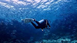 Excursion de plongée d'une demi-journée en mer Rouge avec un instructeur