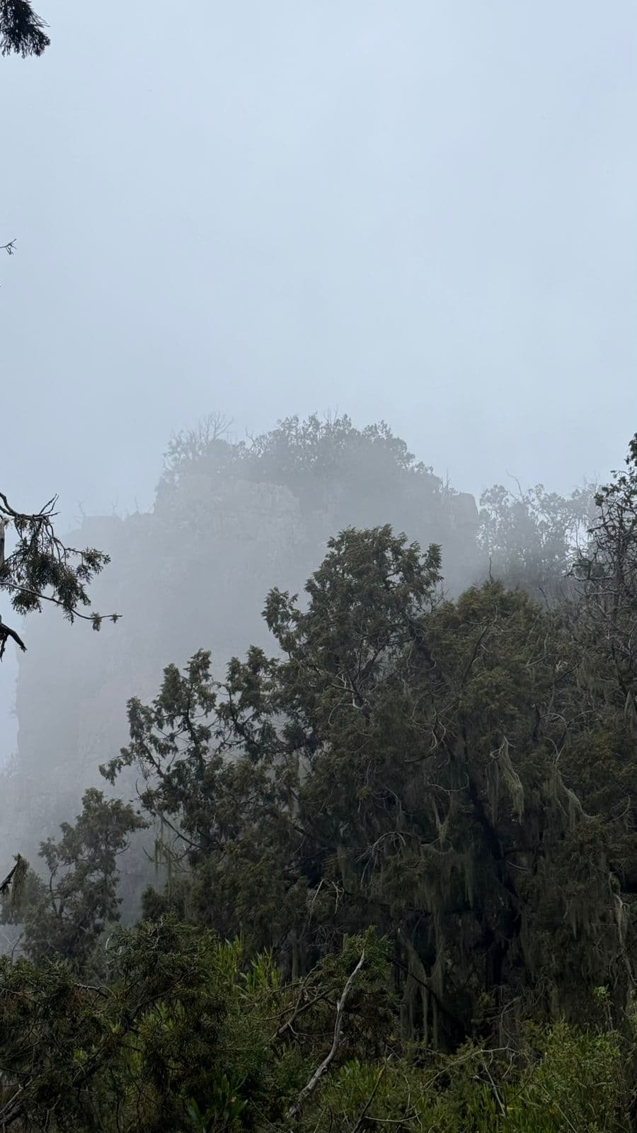 असीर की प्राकृतिक सुंदरता के केंद्र, अल-सौदा में लंबी पैदल यात्रा और पर्वतीय विश्राम 🏔️