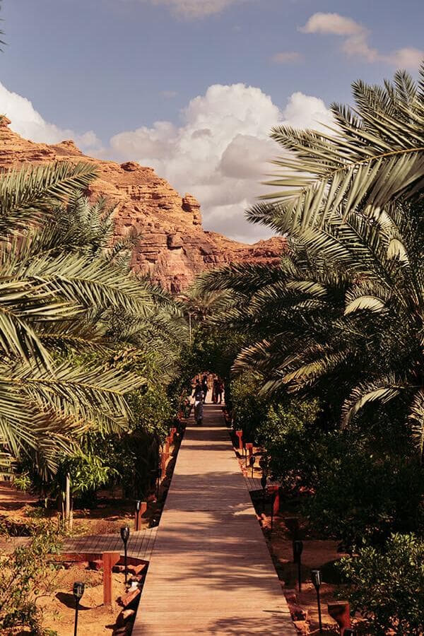Tur menyusuri jalur oasis warisan budaya di Al-Ula