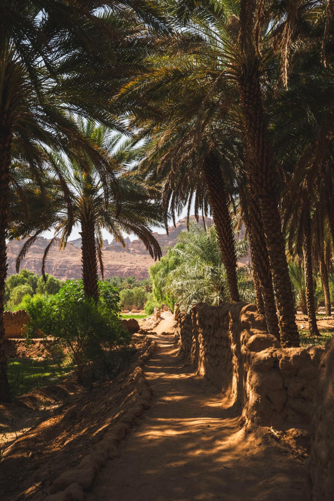Tur menyusuri jalur oasis warisan budaya di Al-Ula