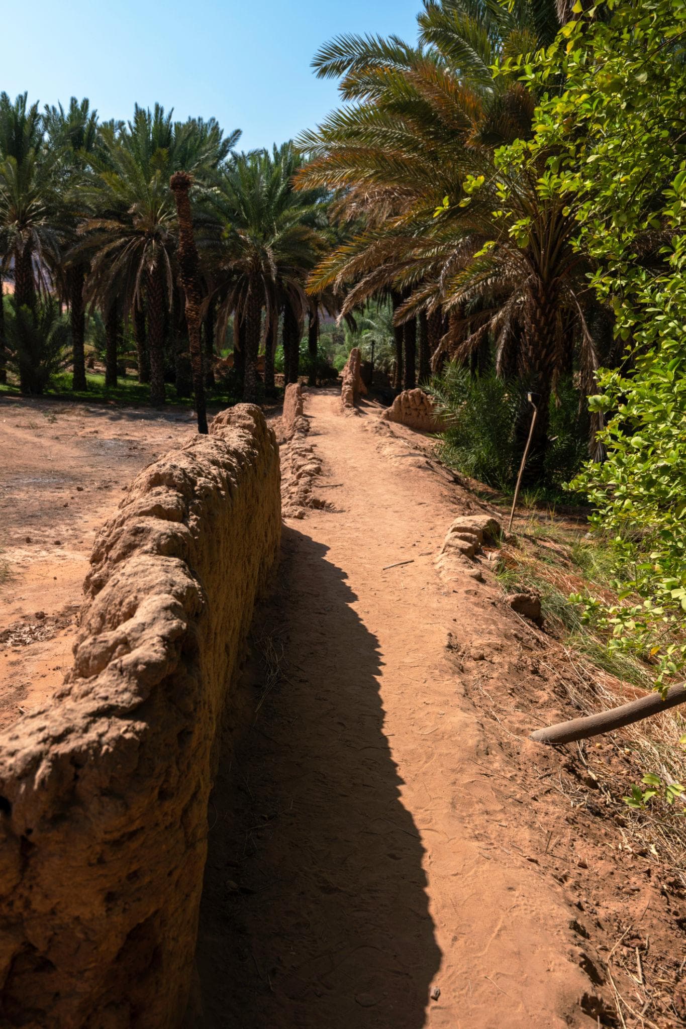 Tur menyusuri jalur oasis warisan budaya di Al-Ula