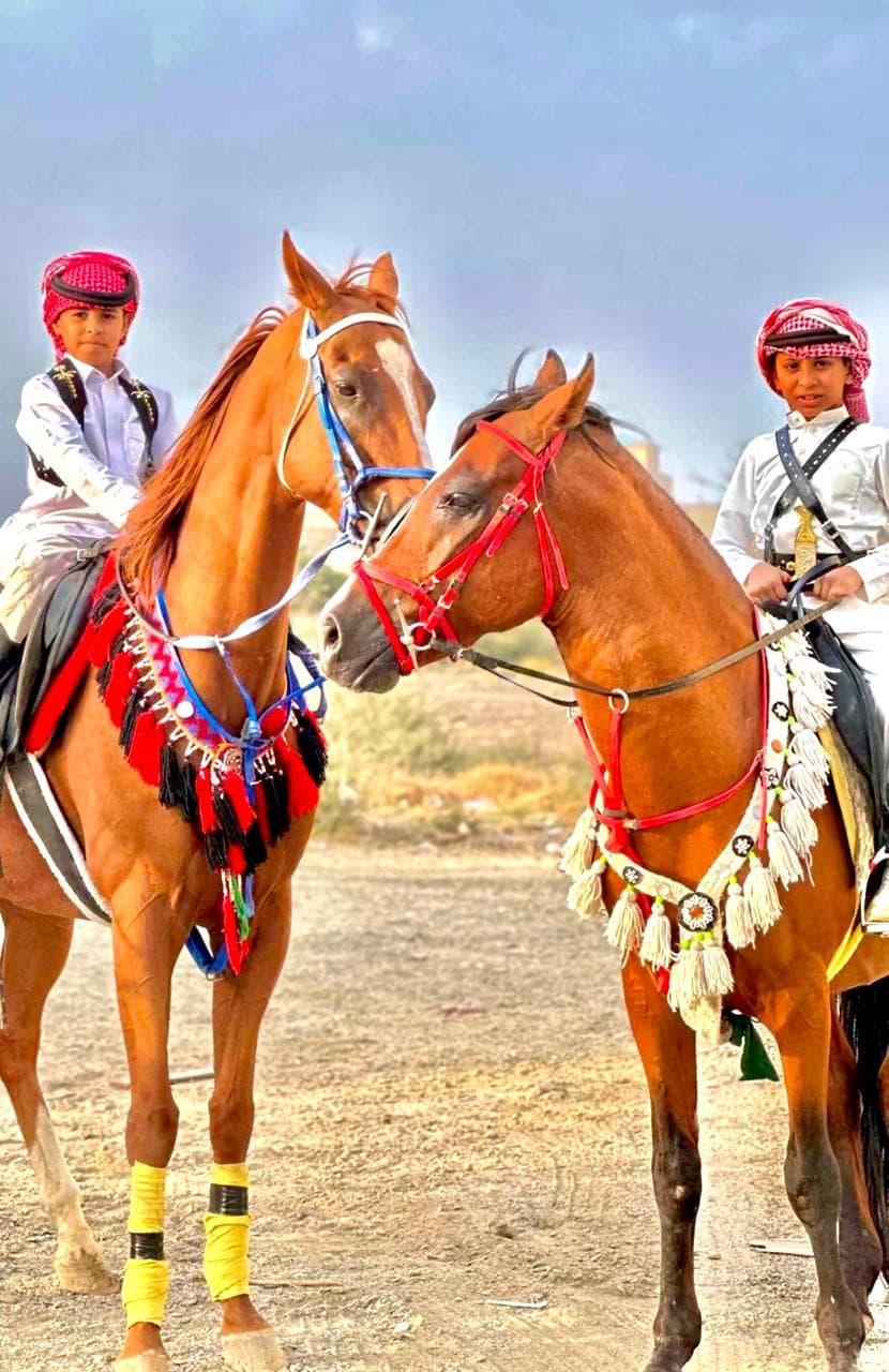 फ़ाल अल एज़ इक्वेस्ट्रियन सेंटर में घुड़सवारी का अनुभव करें।