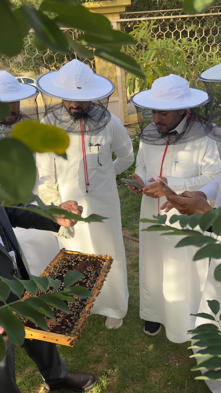 मधुमक्खी पर्यटन में मधुमक्खियों और शहद के रहस्यों को जानें