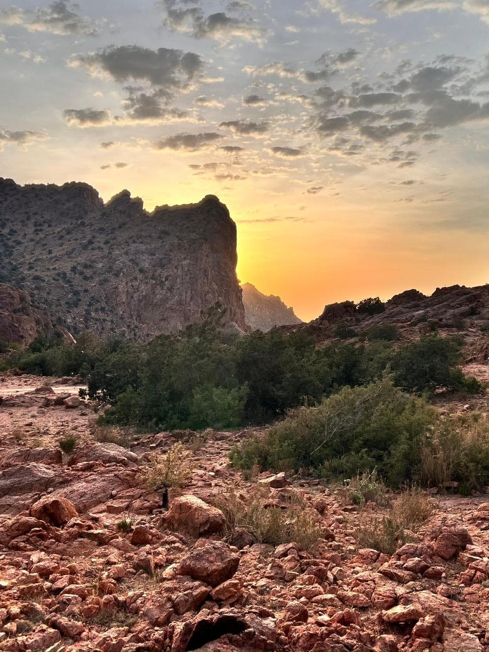 خطة الجمعة هايكنج 