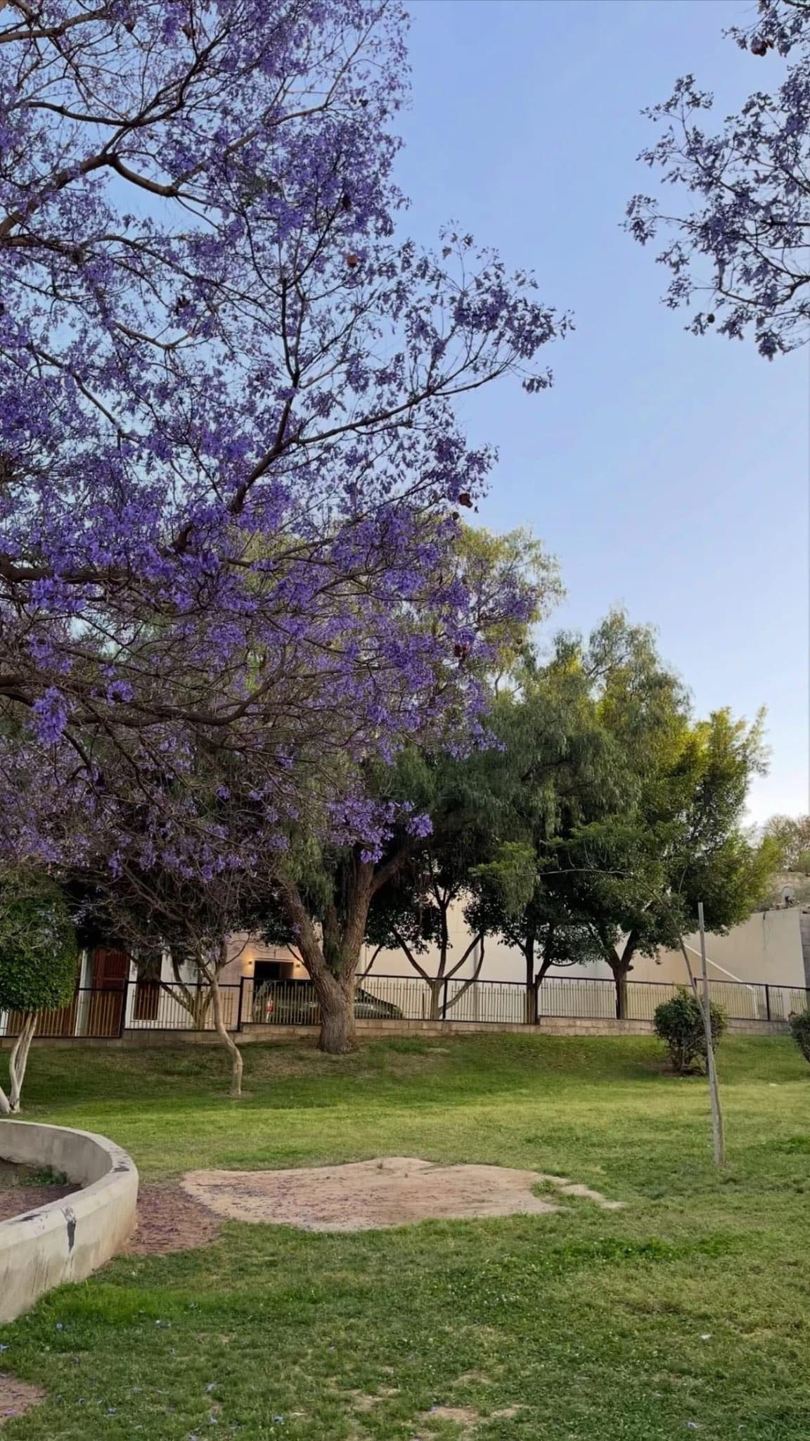 Paquete de 4 noches en Asir con experiencias inolvidables que incluyen senderismo y una visita a plantaciones de café.