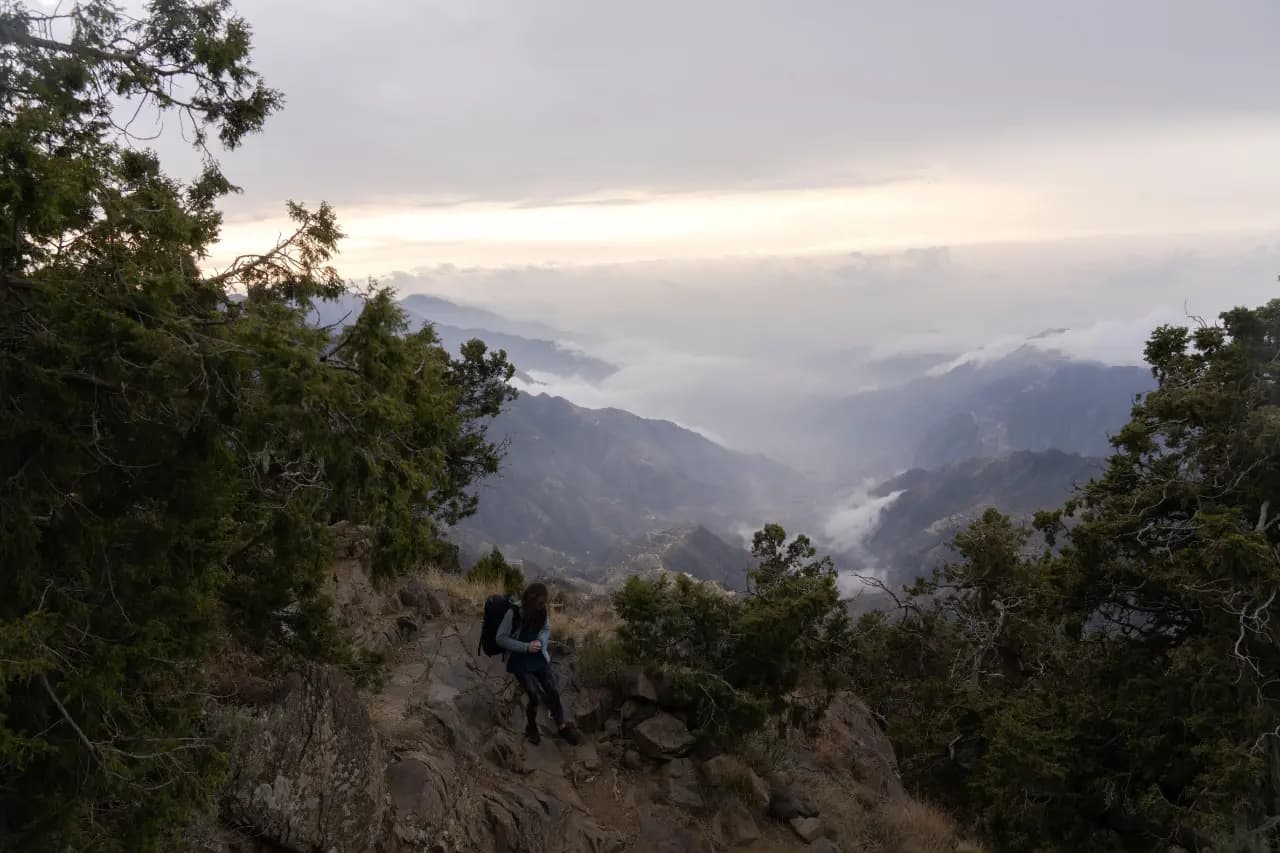 Paquete de 4 noches en Asir con experiencias inolvidables que incluyen senderismo y una visita a plantaciones de café.